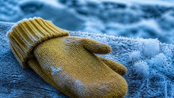 The centuries-old engineering behind winter's most recognizable hand protection reveals innovation born from necessity.